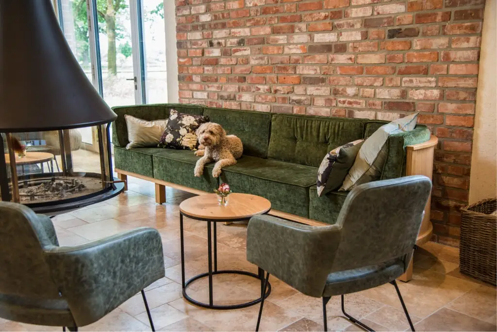 Foto Einrichtung Trüffelscheune Event-Location, Sitzgruppe am Kamin, Diner Sofa Michel, Sessel Marvin Bezug Leder grün, Lounge-Tische und Hund auf dem Sofa